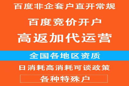 百度竞价运营案例分析：实战经验总结